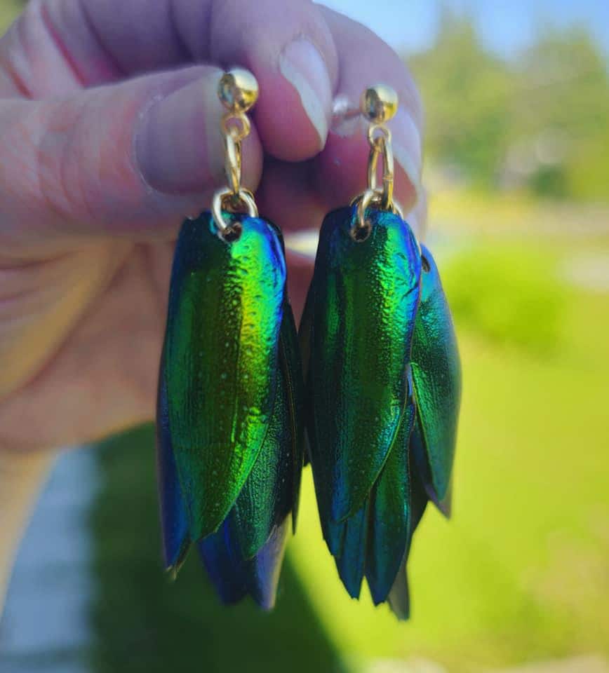 Beetle Wing Earrings