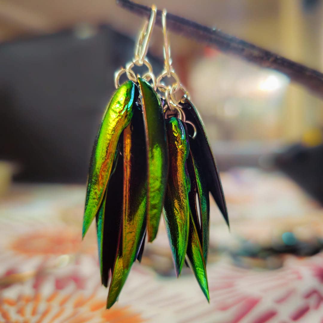 Beetle Wing Earrings