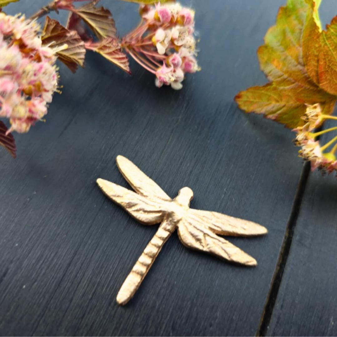 Dragonfly Brooch