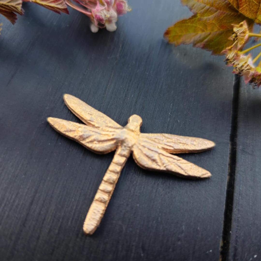 Dragonfly Brooch