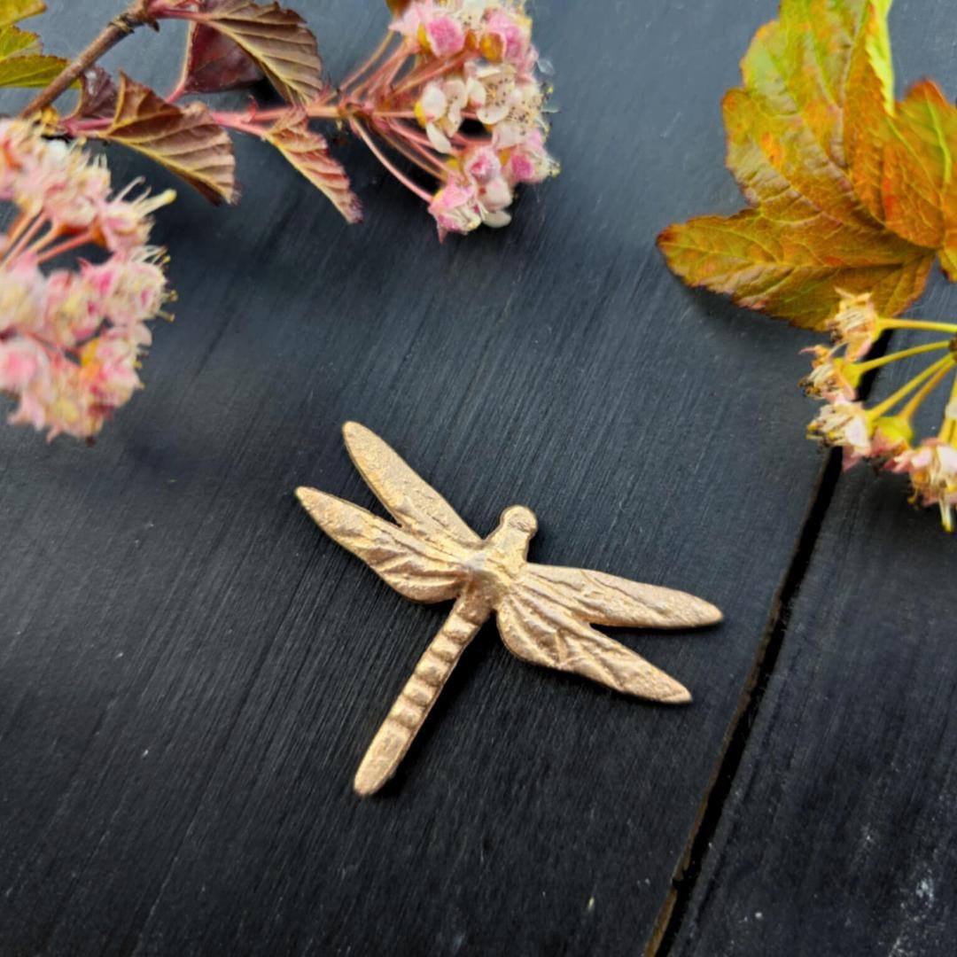 Dragonfly Brooch